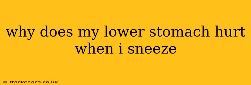 why does my lower stomach hurt when i sneeze