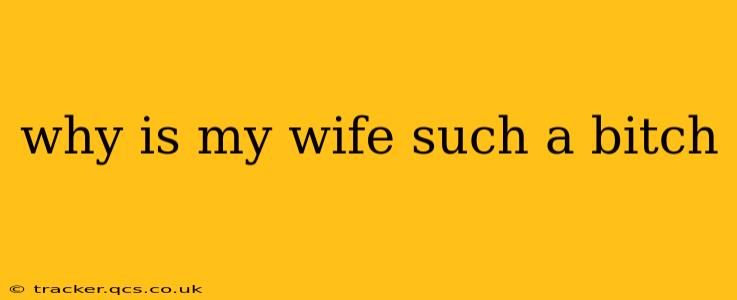 why is my wife such a bitch why is my wife such a bitch