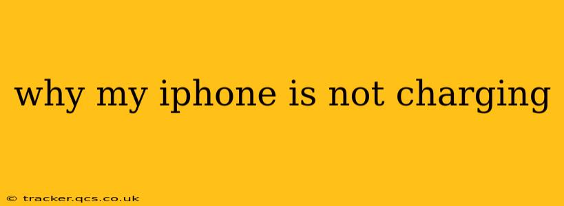 why my iphone is not charging