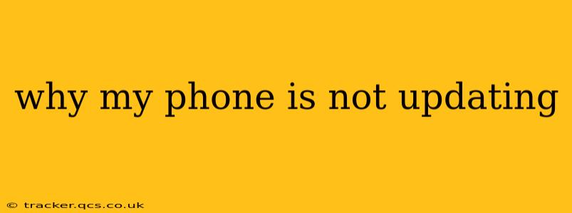 why my phone is not updating