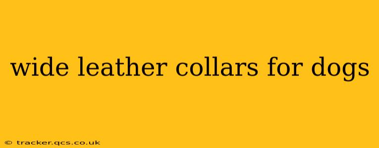 wide leather collars for dogs