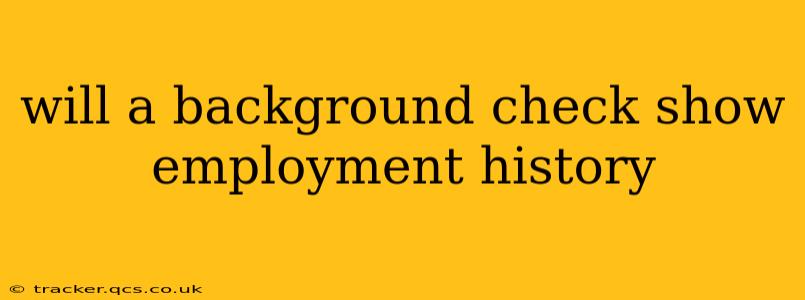 will a background check show employment history