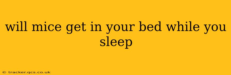 will mice get in your bed while you sleep