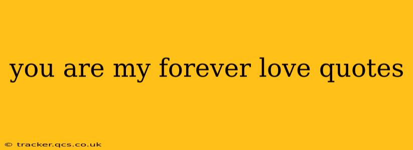you are my forever love quotes